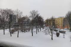 Styczeń 2026